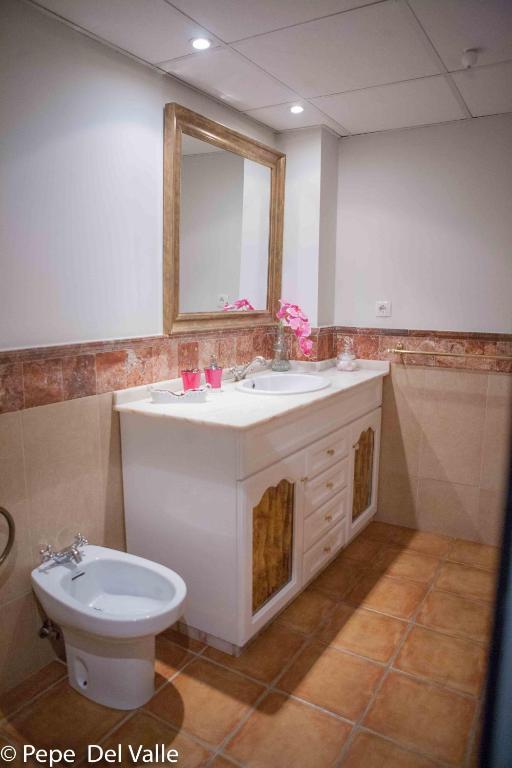 Los patios “ El Carmen” - 14