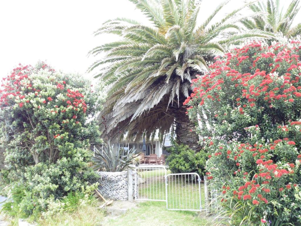 a palm tree and a gate in a garden with flowers at Twin Palms in Waikanae