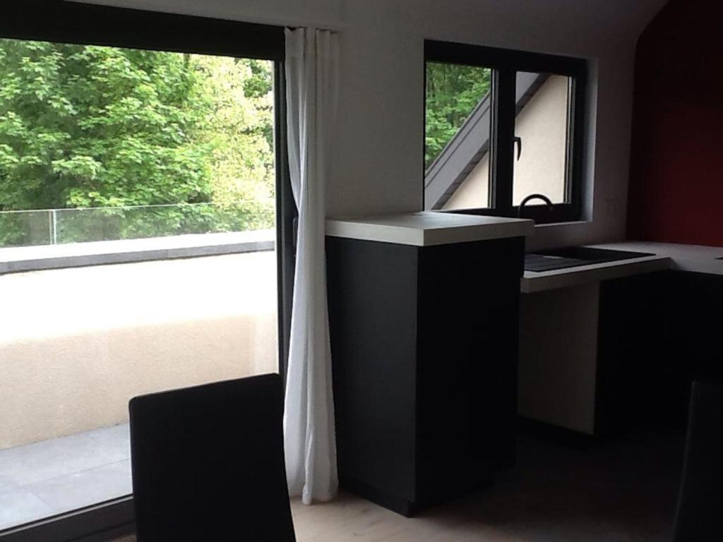 een badkamer met een wastafel en een groot raam bij Akker duplex in Mortsel