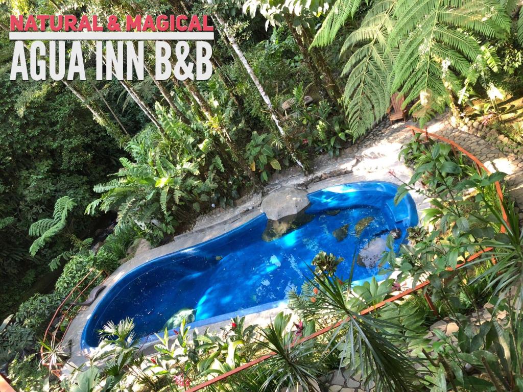 Bazén v ubytování Agua Inn nebo v jeho okolí