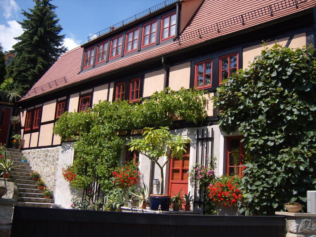 uma casa com plantas ao lado dela em Winzerhaus Rissweg 15 em Dresden