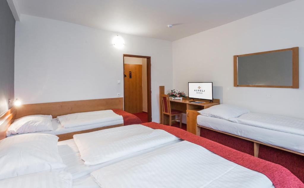 Postel nebo postele na pokoji v ubytování Hotel Globus