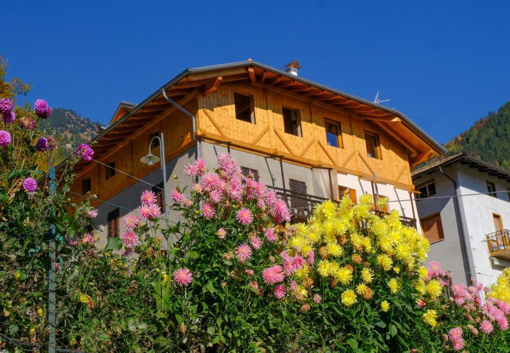 O grădină în afara B&B Butterfly