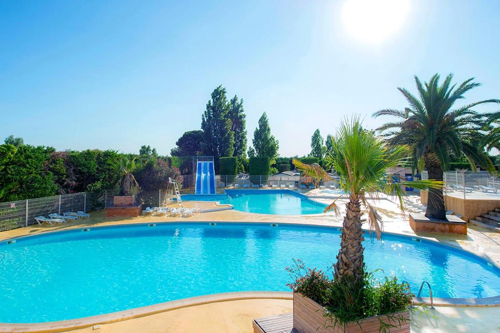 una gran piscina con 2 palmeras y una fuente en Mobil Home Méditerranée, en Vic-la-Gardiole