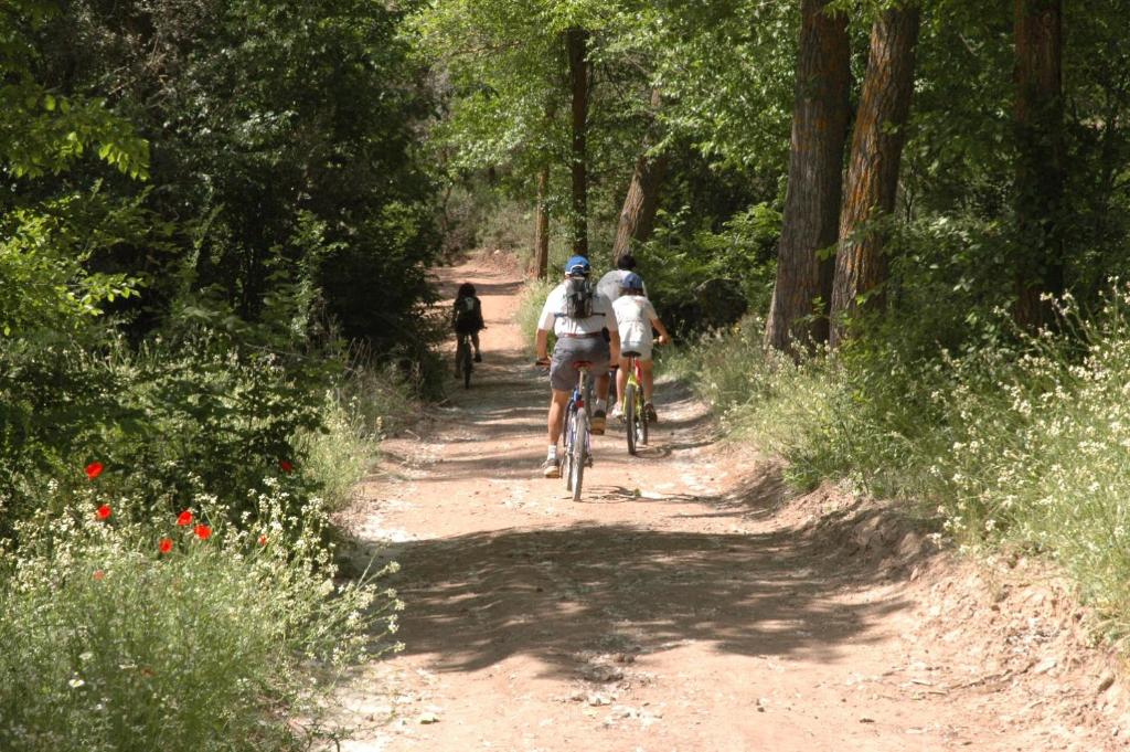 Hostia v ubytovaní Casa Rural La Ossa