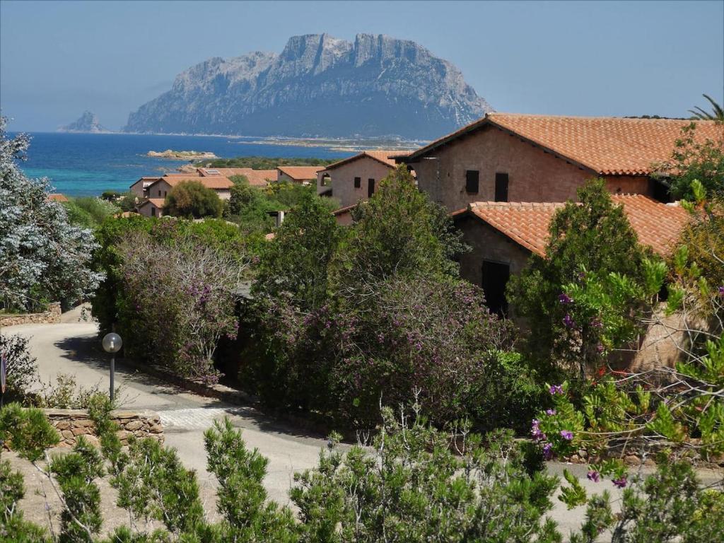 Příroda nedaleko prázdninového domu