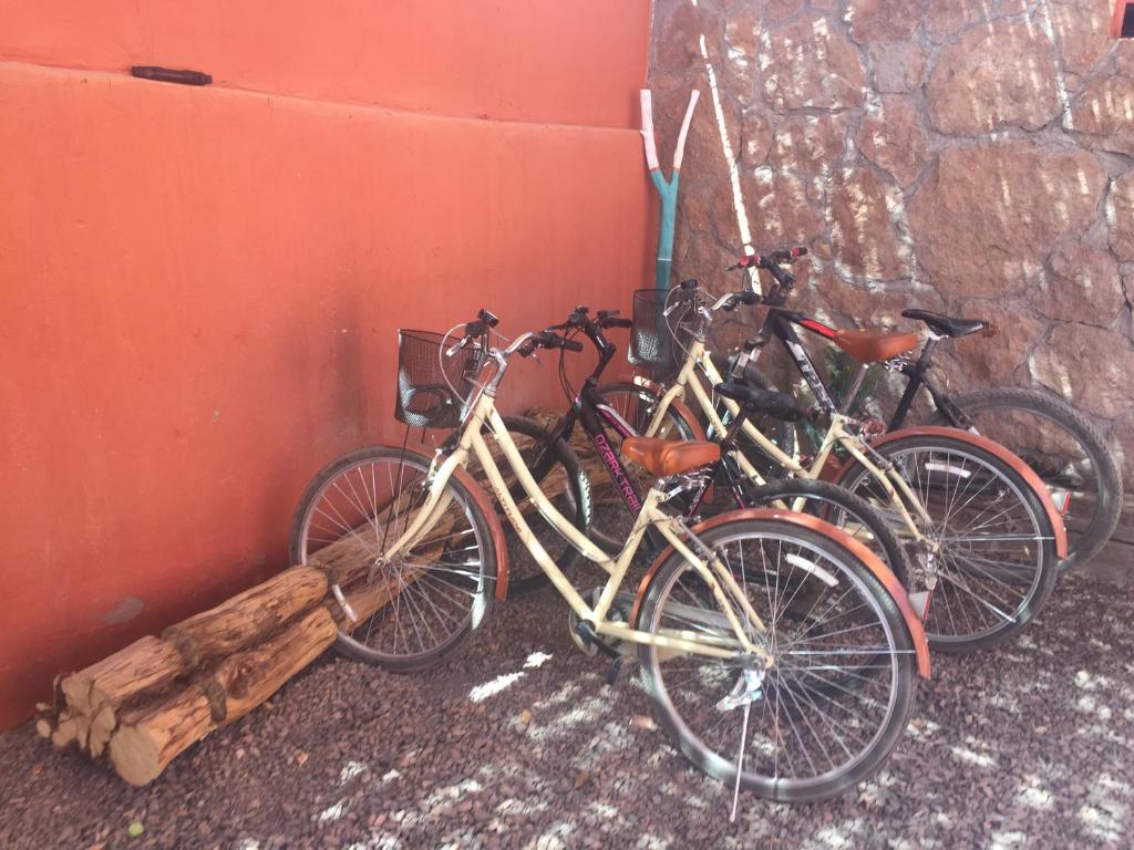 Rattasõit majutusasutuse Hostal Montepardo aladel või selle läheduses