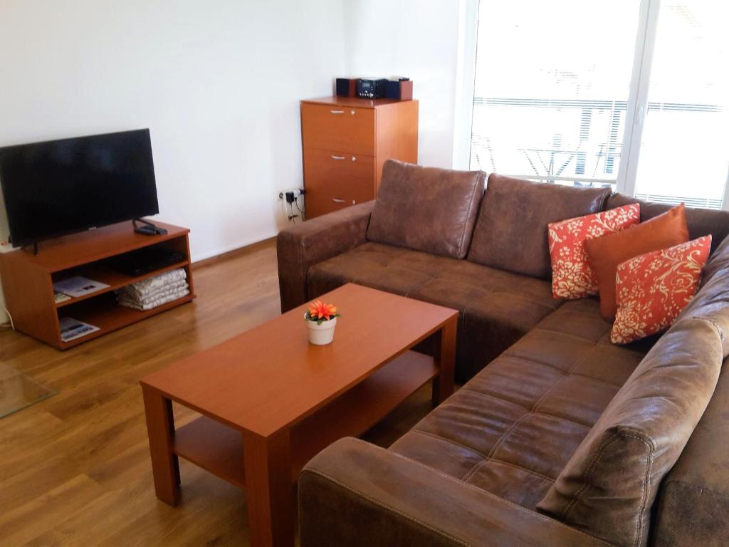 TV a/nebo společenská místnost v ubytování APARTMÁN SLAVKOV home & parking