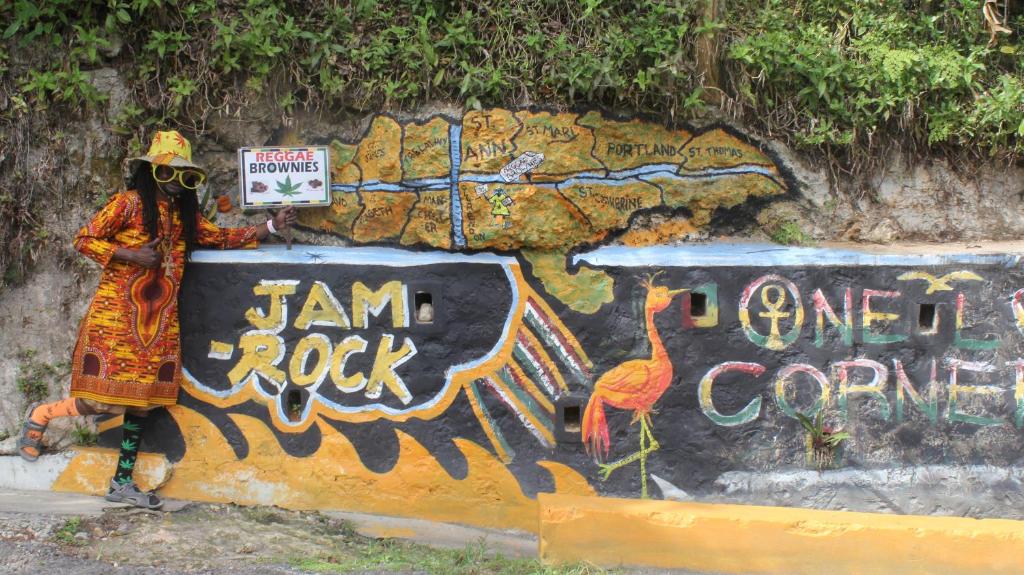 Fotografie z fotogalerie ubytování ritashomeawayfromhome v destinaci Ocho Rios