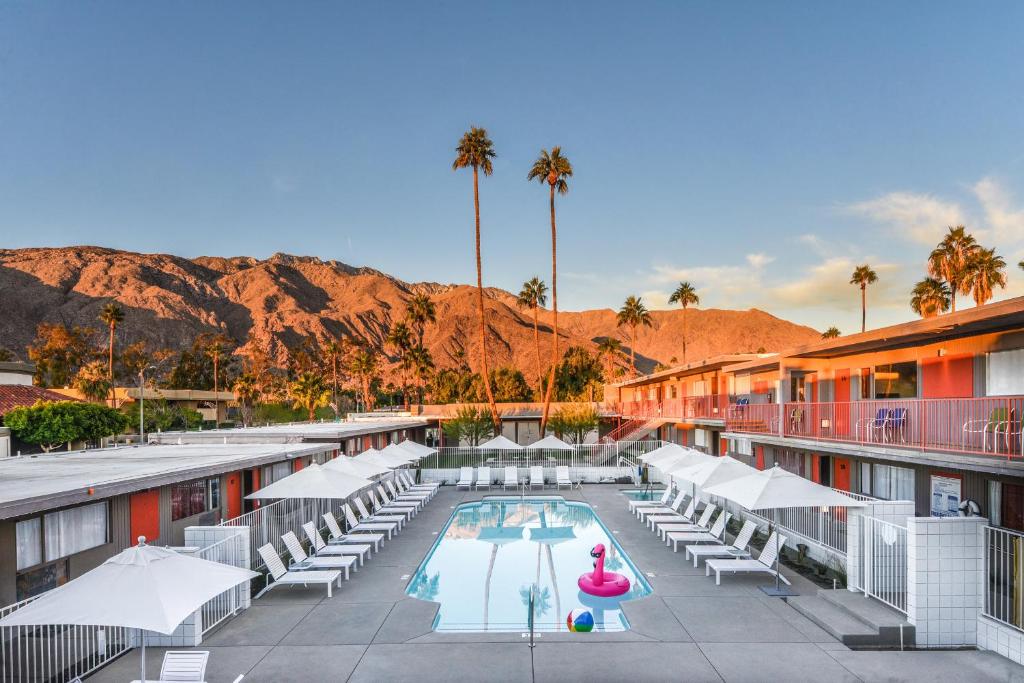 パーム・スプリングスにあるThe Skylark, a Palm Springs Hotelのホテルにはプールと椅子、ヤシの木があります。