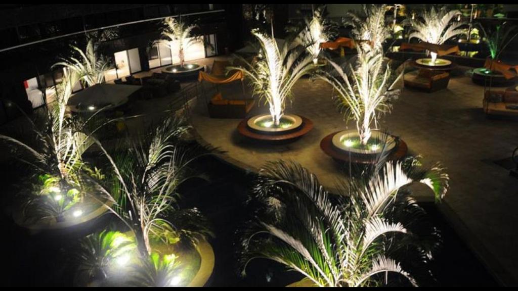  Landscape Beira Mar