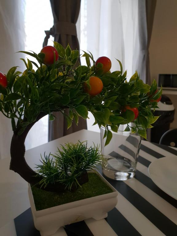 Zdjęcie z galerii obiektu Perla Sicula w Katanii