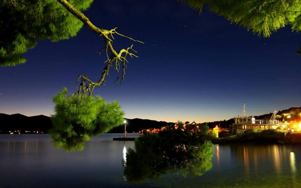 a view of a large lake at night at Apartman Iva in Kučište