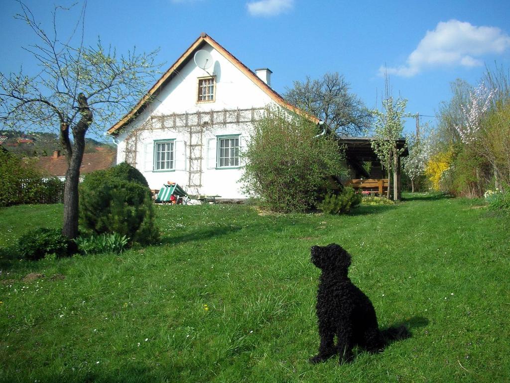 Domácí mazlíčci ubytovaní s hosty v ubytování Beim Schachnerhaus