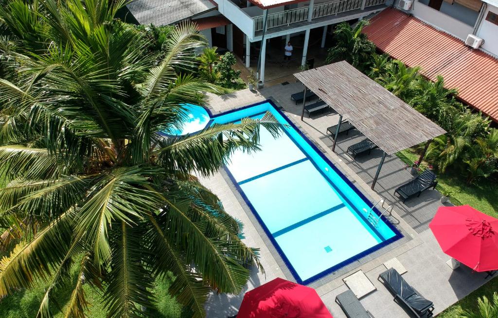 an overhead view of a swimming pool with a palm tree at Weligama Ocean Breeze in Weligama