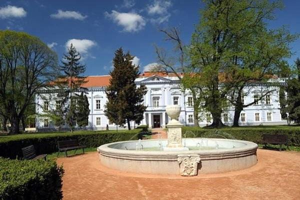 Zahrada ubytování Jenny home