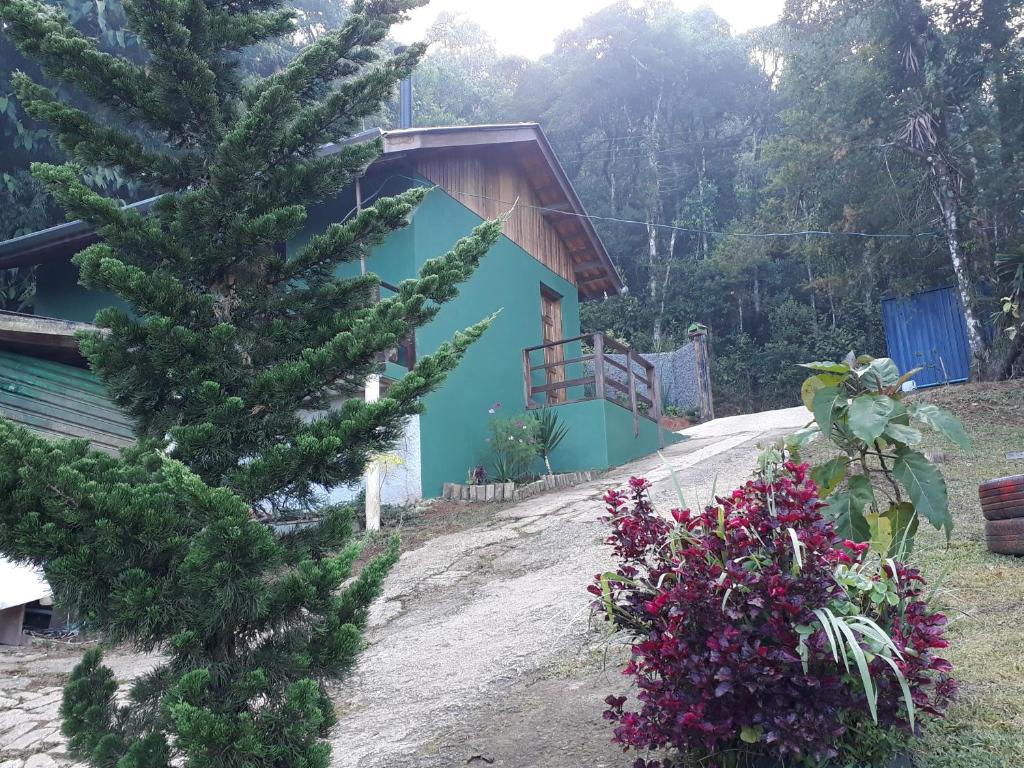 a house with a tree and flowers in front of it at Casa Estilo Kitnet in Campos do Jordão