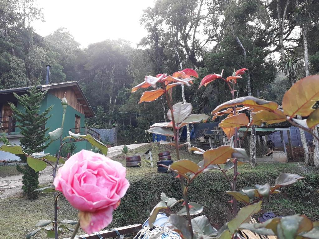  Casa Estilo Kitnet
