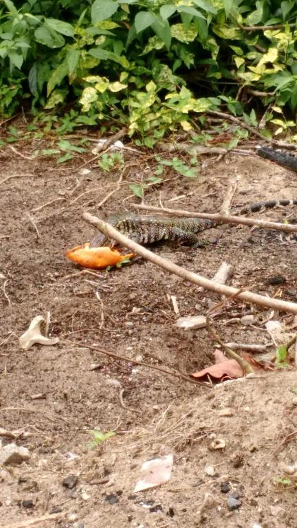  Recanto Encantado Ubatumirim