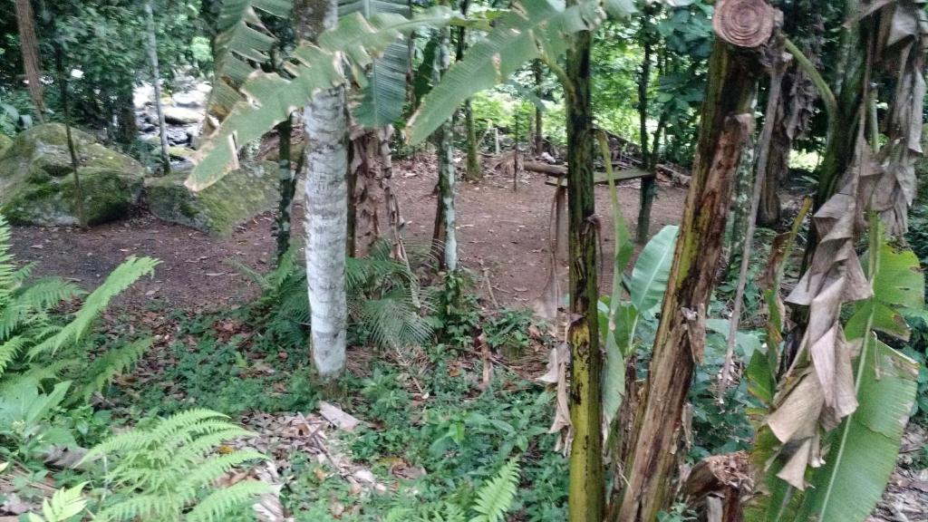  Recanto Encantado Ubatumirim