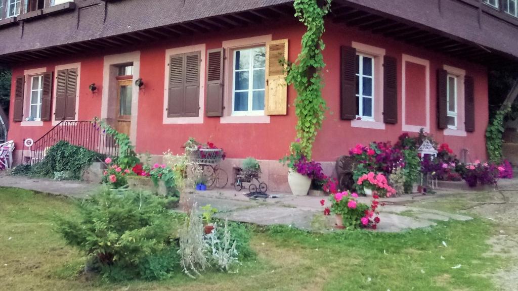 Zahrada ubytování Gîte "Cadichon"