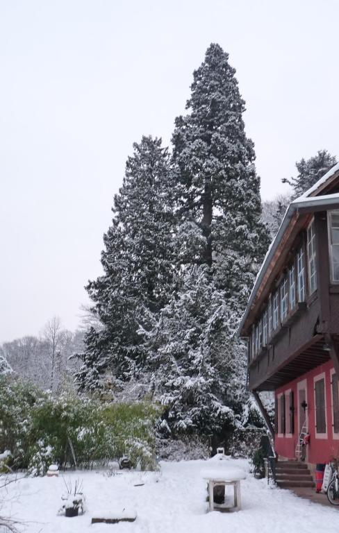 Gîte "Cadichon" v zimě