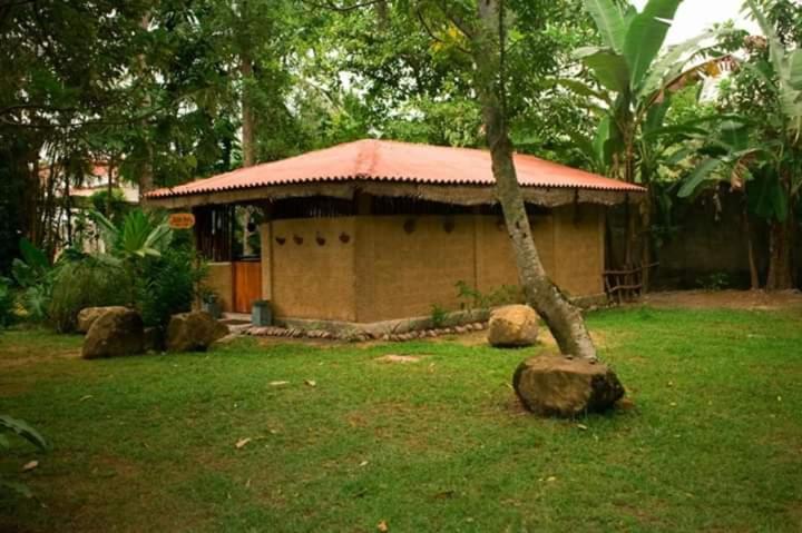 a small house with a tree in a yard at Selnara Private Luxury Villa and Ayurveda Spa in Bentota