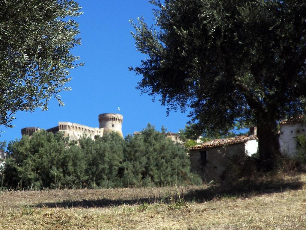 a castle on top of a hill with a tree at Agriturismo Aqua Viva in Acquaviva Picena