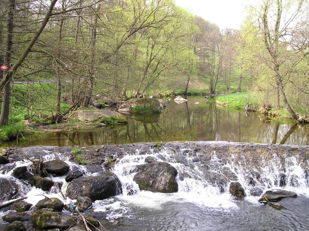 Příroda nedaleko bed and breakfast
