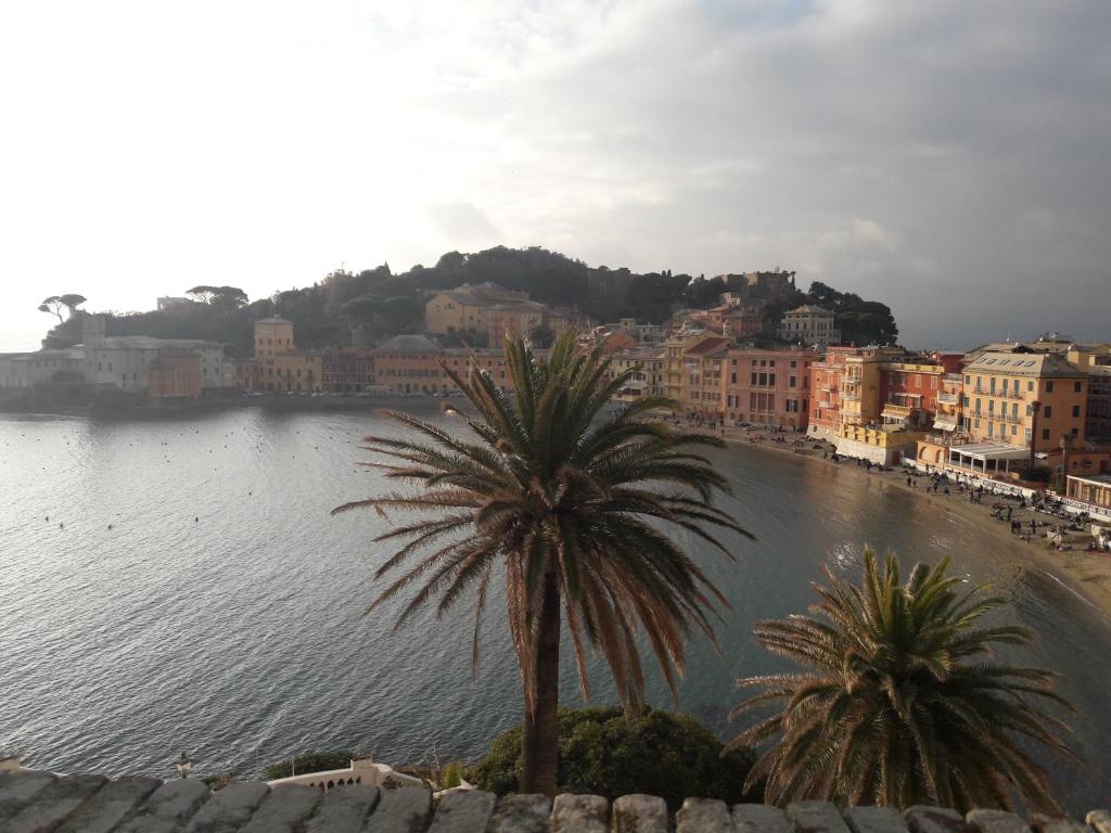 a view of a beach with palm trees and buildings at casa maria in Sestri Levante