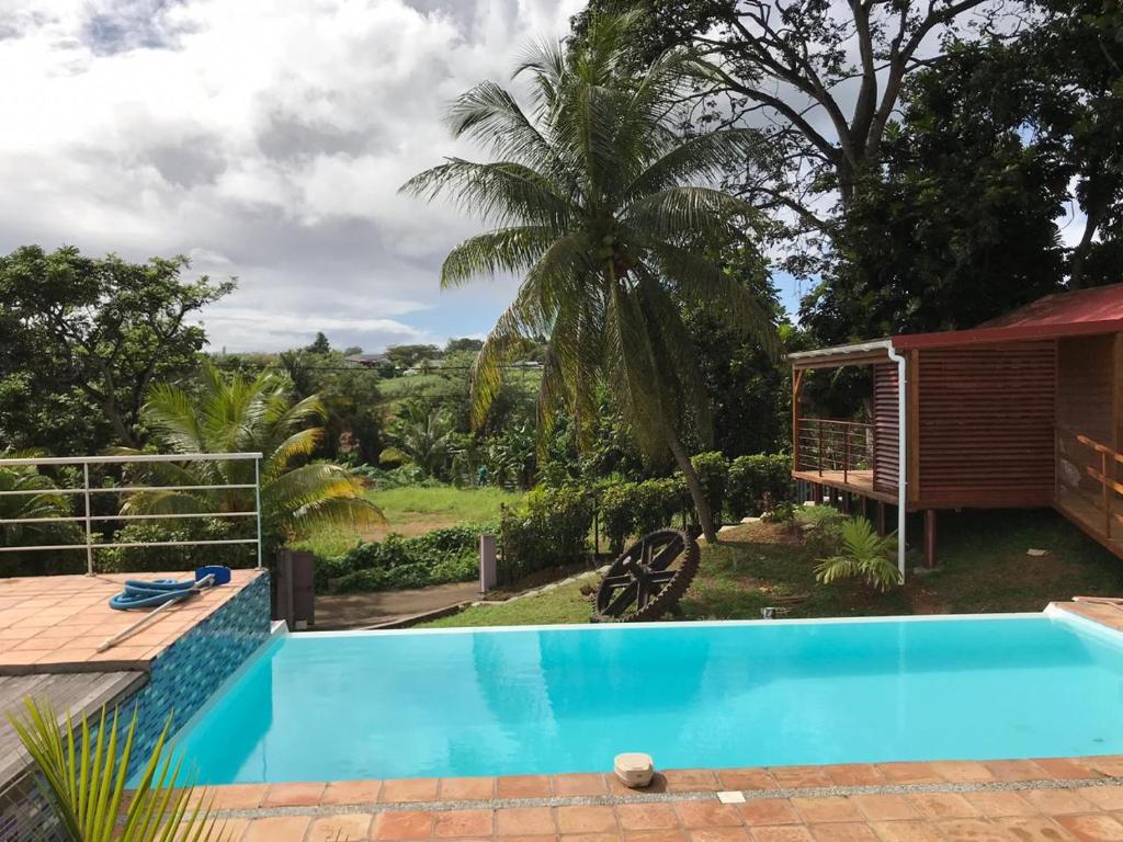 a pool with a view of the garden and a house at Charmant bungalow au cœur de l’île in Baie-Mahault