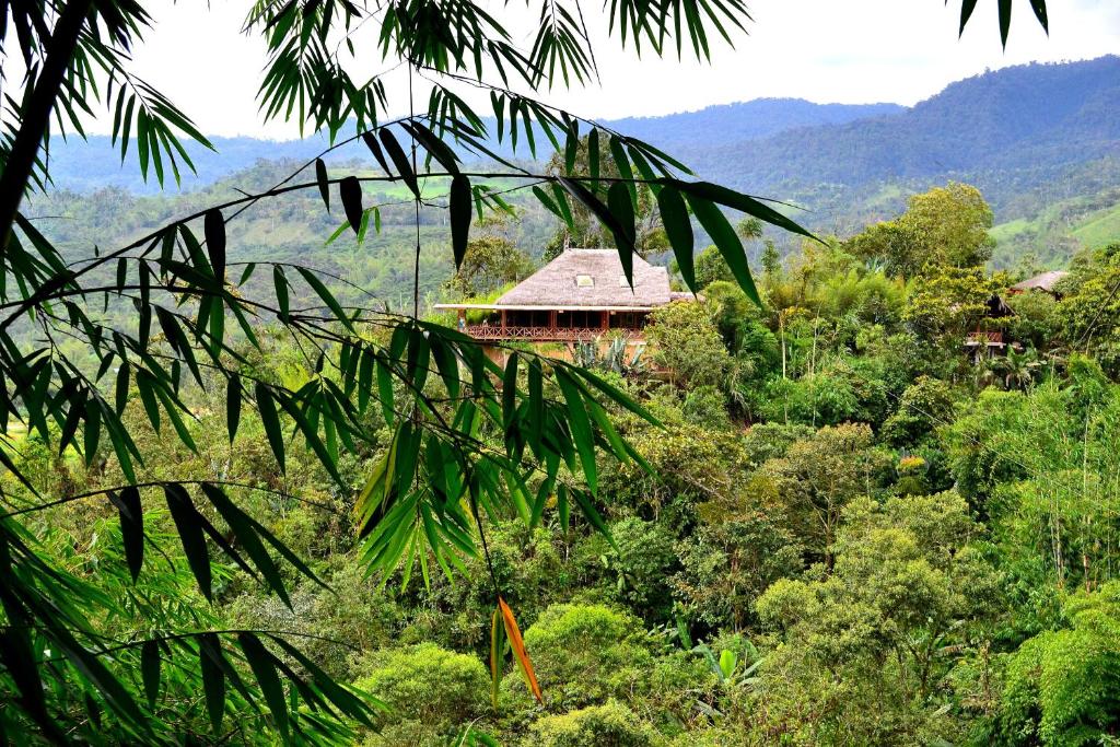 una casa en medio de un bosque de árboles en Terrabambu Lodge, en Mindo