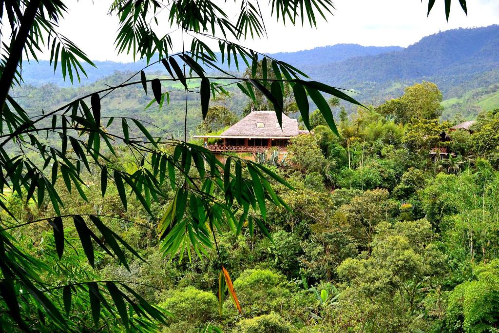 a house in the middle of a forest of trees at Terrabambu Lodge in Mindo