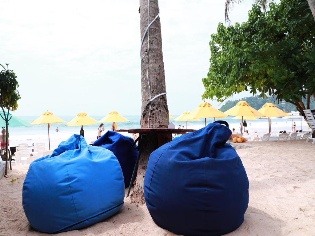 a blue and white beach chair sitting under an umbrella at Fresh Wave Mirissa - Beach Front in Mirissa