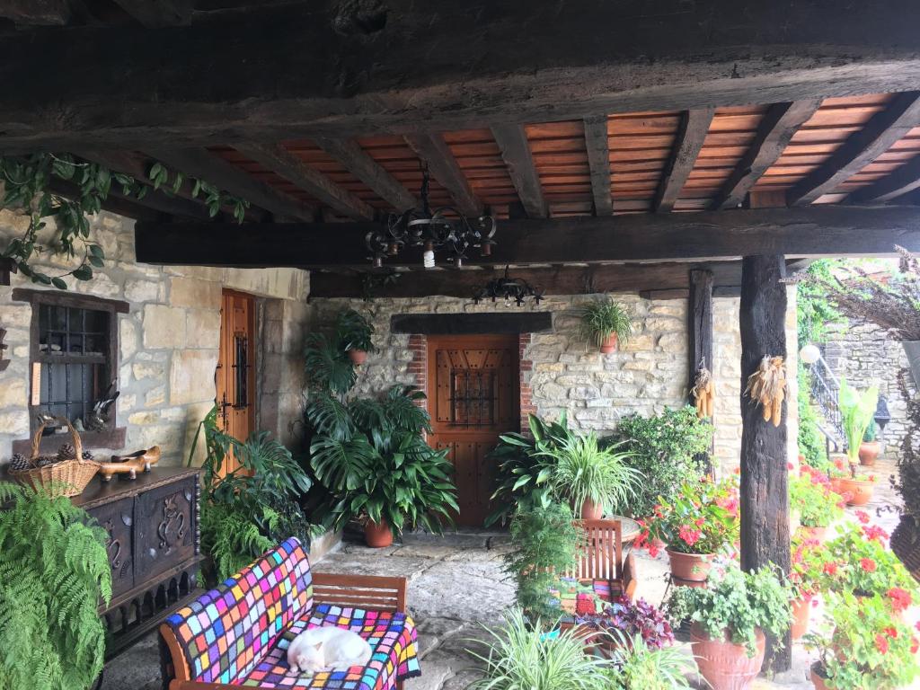 Zahrada ubytování Casa Los Laureles