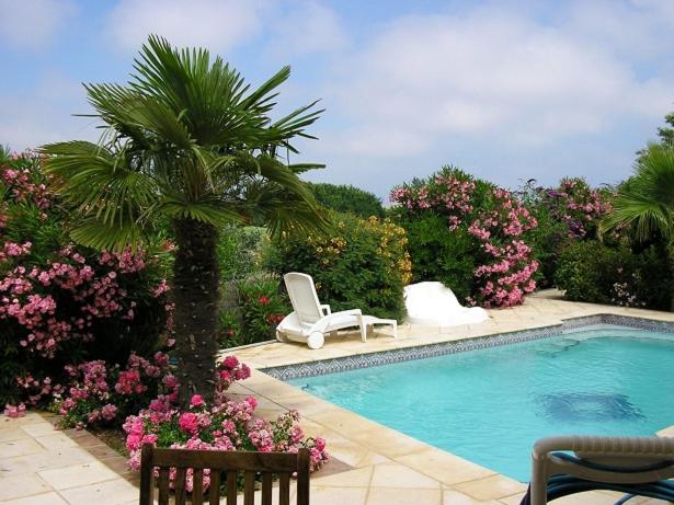 a swimming pool with two chairs and a palm tree and flowers at Villa avec piscine in Cap d'Agde
