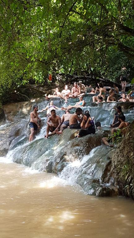 Meechok organic home - 7