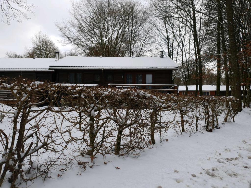 Ardennes v zimě