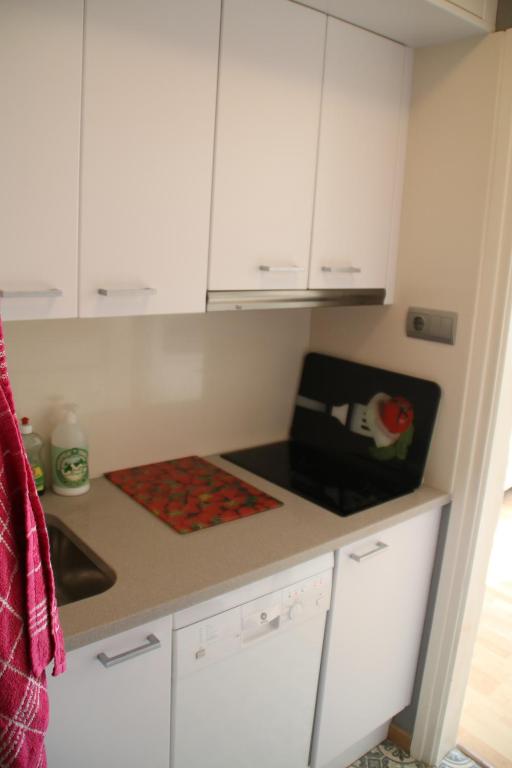 A kitchen or kitchenette at Centre Empuriabrava plage