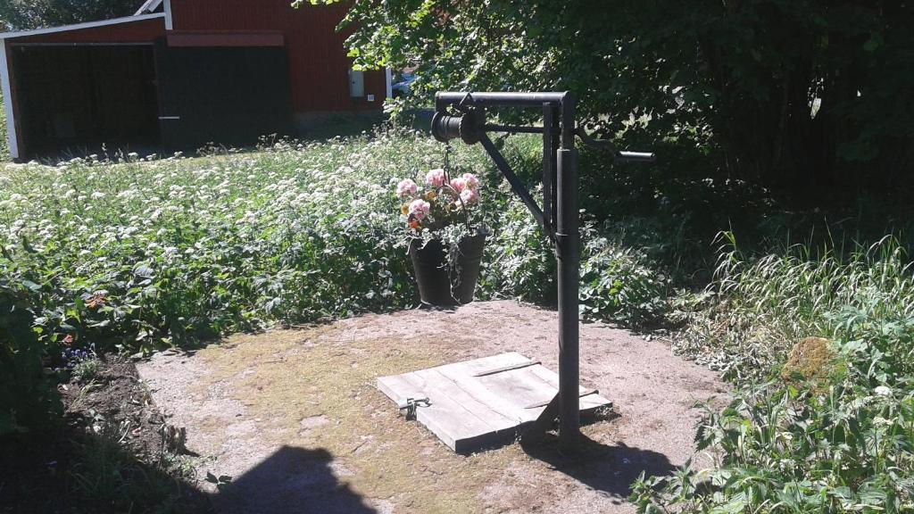Zahrada ubytování Hallhult