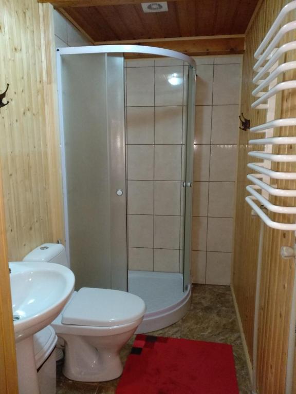 Koupelna v ubytování Sadiba Pid Skeleyu