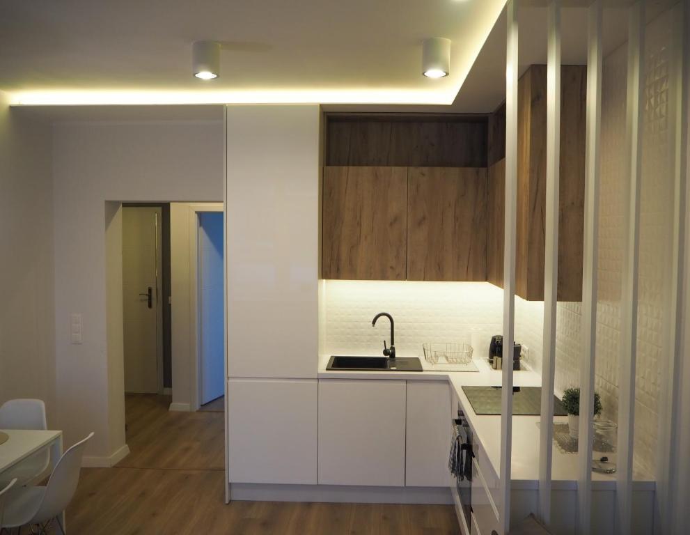 Apartment Sigismondo Zoliborzにあるキッチンまたは簡易キッチン