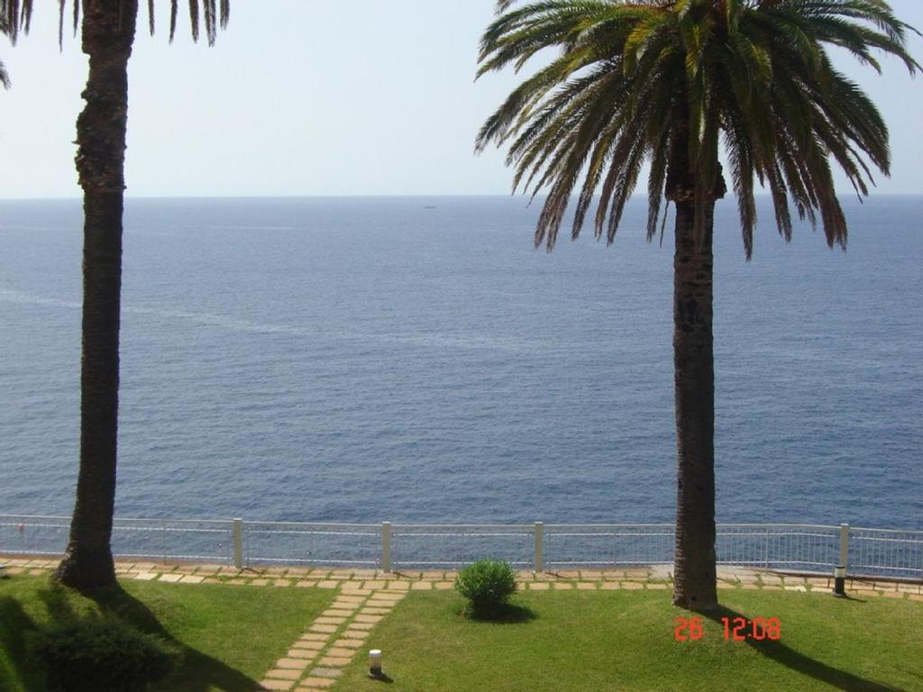 una vista del océano desde dos palmeras en Edifico Baia Apartment, en Funchal