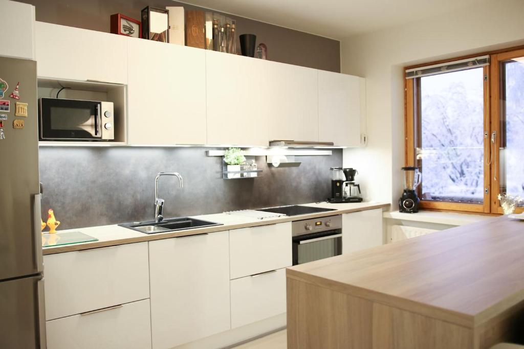 Kuchyň nebo kuchyňský kout v ubytování Studio City Borealis