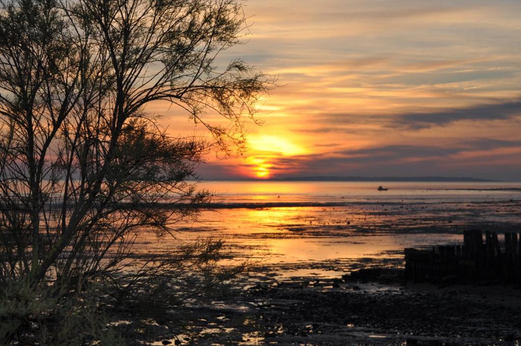 una puesta de sol sobre el agua con un árbol en primer plano en Villa Lavande, en Yves