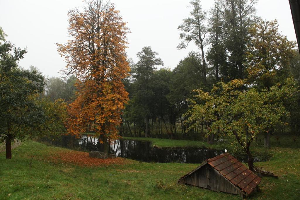 Příroda nedaleko penzionu