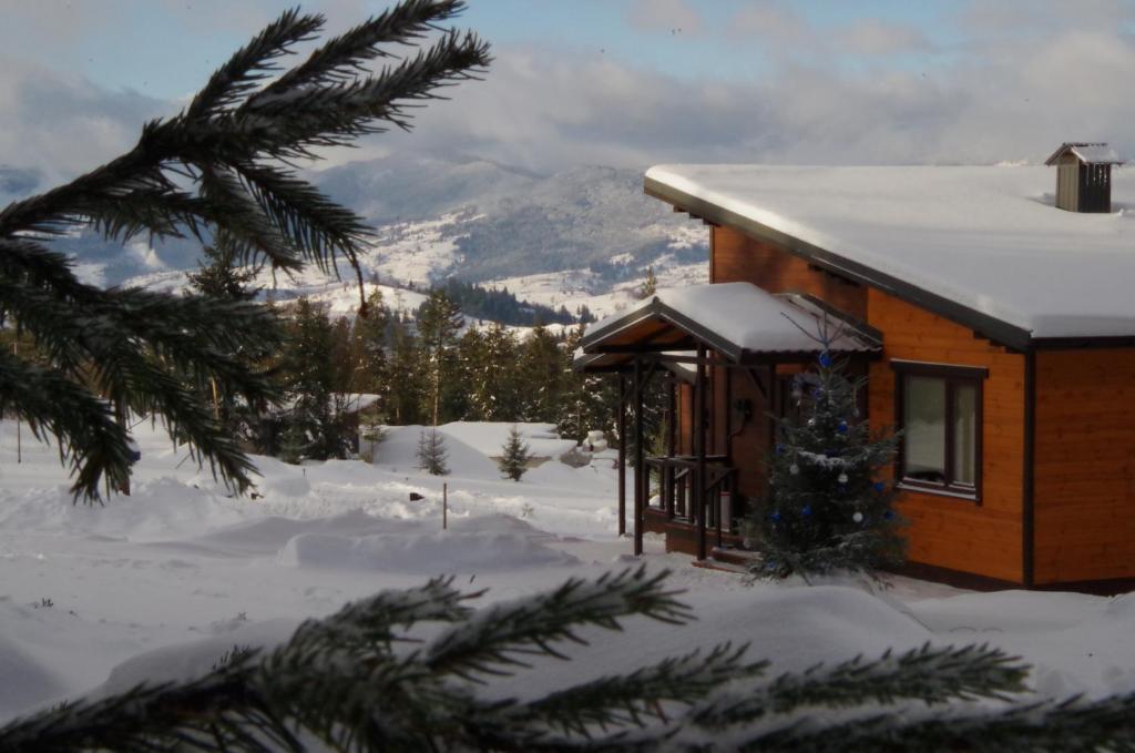 eine Hütte im Schnee mit einem Weihnachtsbaum in der Unterkunft Коттедж для отдыха Дискавери in Jablunyzja