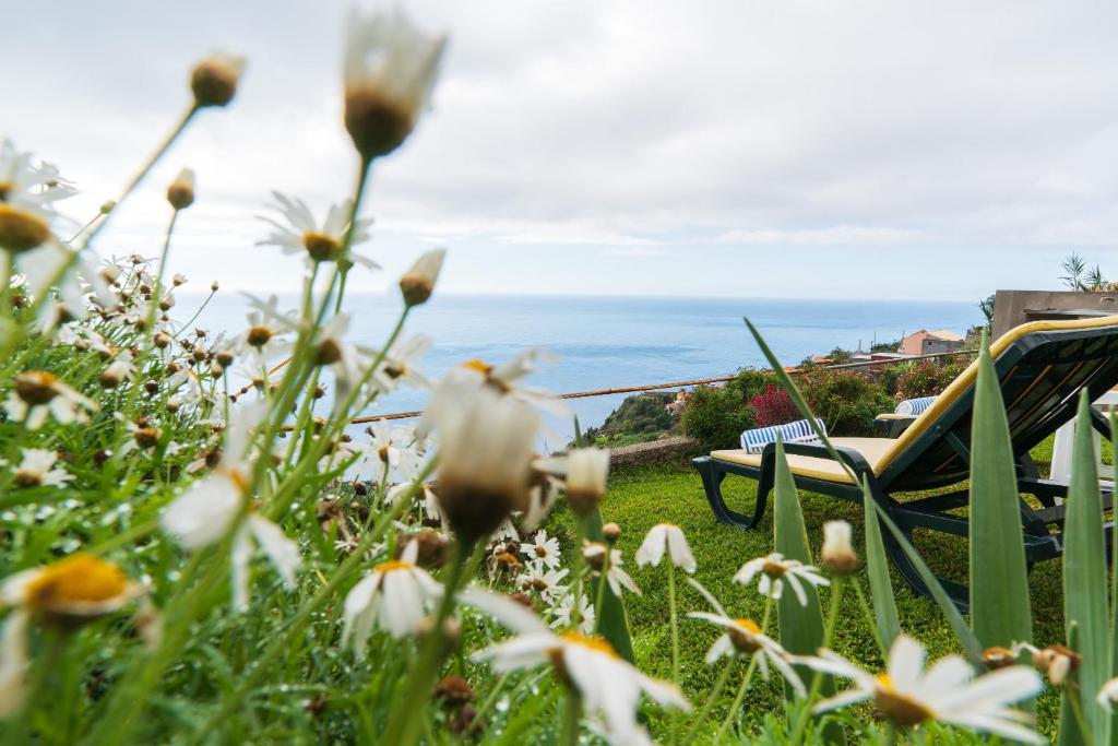 um campo de flores com o oceano no fundo em Casa da Tenda em Arco da Calheta