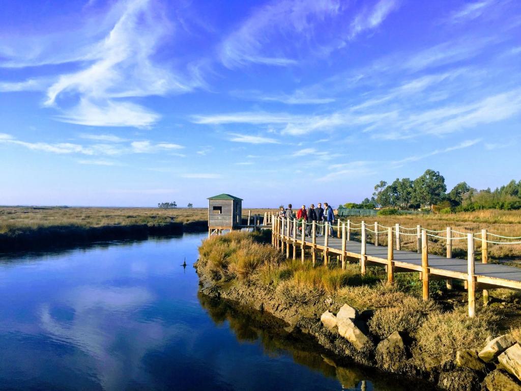 Passadiços da Ria - 17