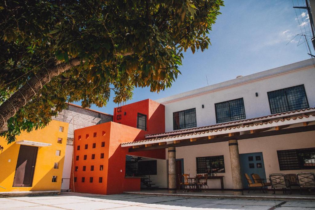 un gruppo di edifici con un albero in primo piano di Casa Teotitlán a Città di Oaxaca